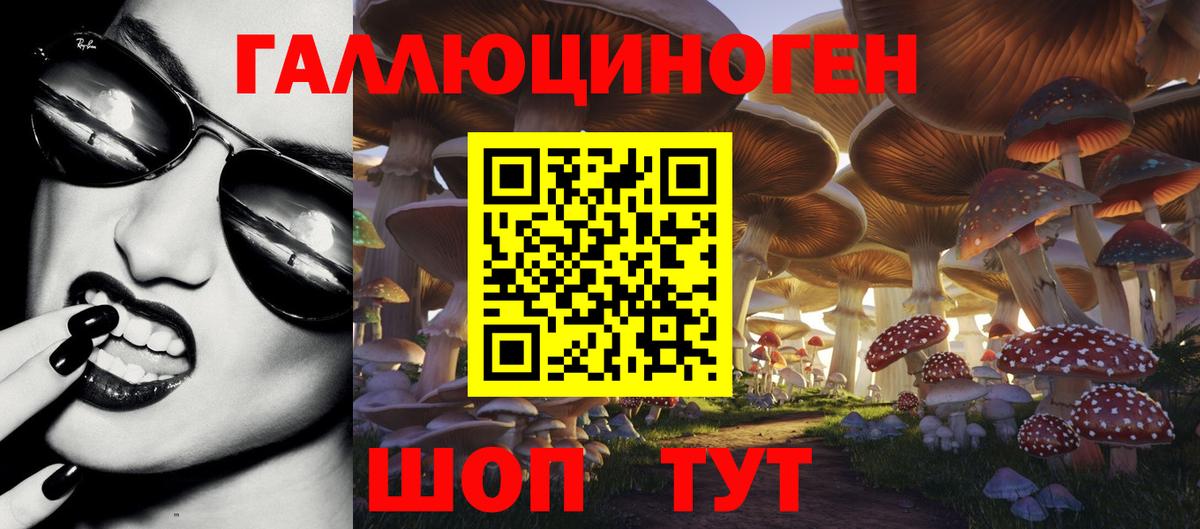 Камень-на-Оби  Галлюциногенные грибы мухоморы  Вход с VPN 