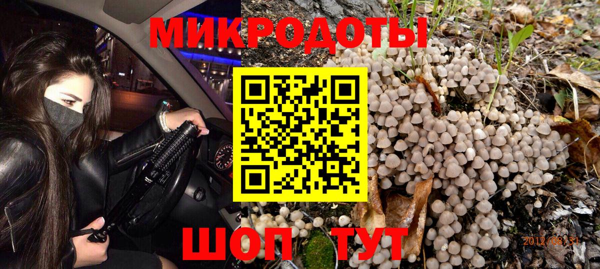 Псилоцибиновые грибы Psilocybine cubensis Камень-на-Оби
